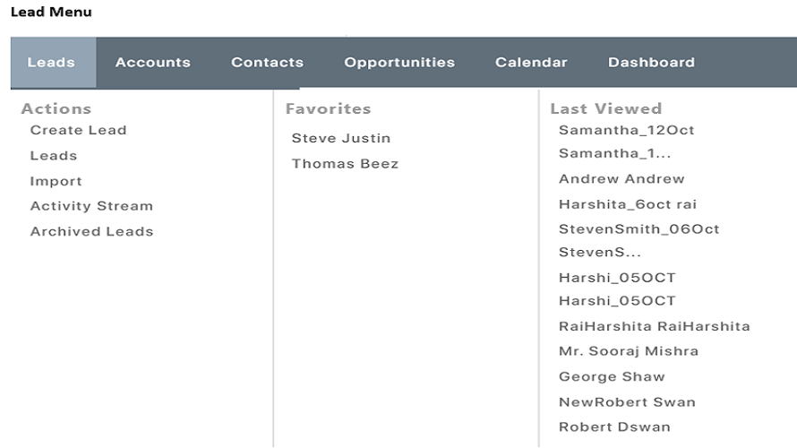 InsureCRM Screenshot 2